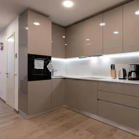 Lootsi Penthouse شقة