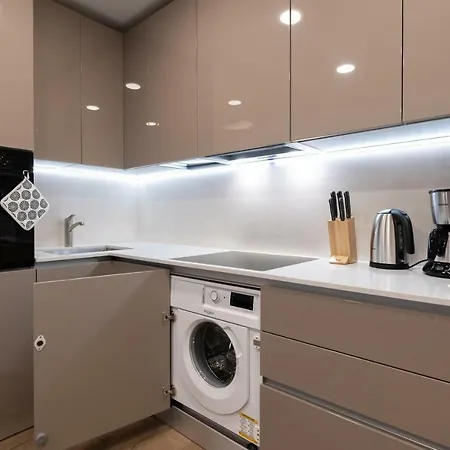 Lootsi Penthouse شقة *