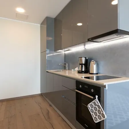 Lootsi Penthouse شقة *