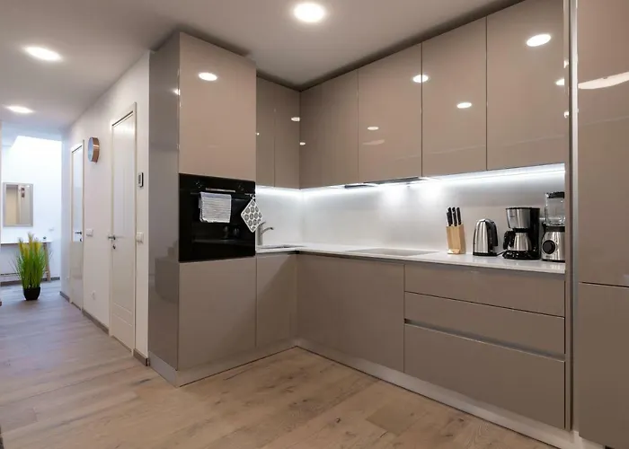 Lootsi Penthouse 公寓