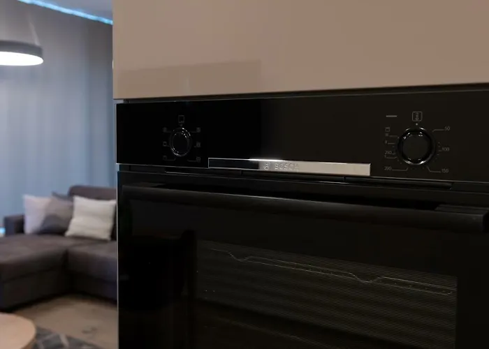 Lootsi Penthouse 公寓 *