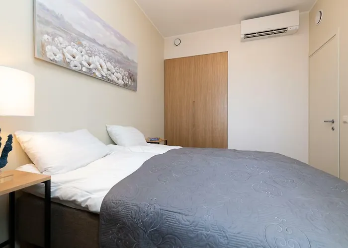 公寓 Lootsi Penthouse *