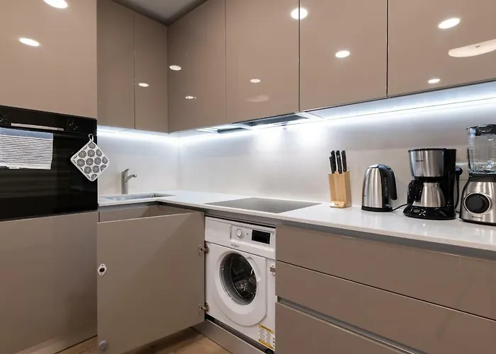 Lootsi Penthouse 公寓 *