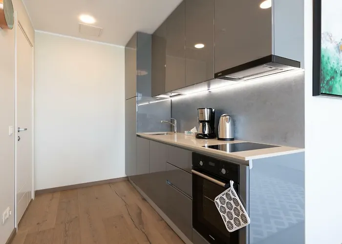 Lootsi Penthouse 아파트 *